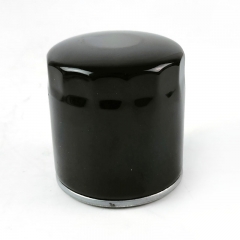 Oil Filter, Spin On 90915-03005
