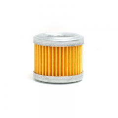 Fuel Filter, Cartridge FF5131