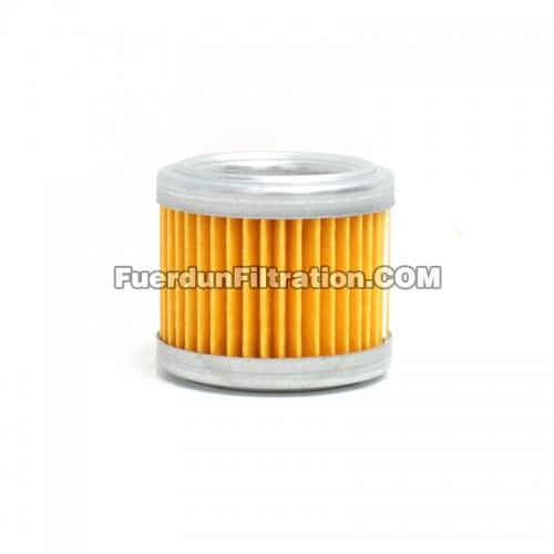 Fuel Filter, Cartridge FF5131