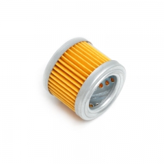 Fuel Filter, Cartridge FF5131