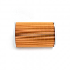 Fuel Filter, Cartridge F6240