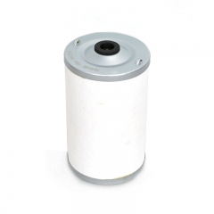 Fuel Filter, Cartridge 69005108,FF4033