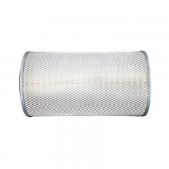 Air Filter, Round P500942,AF25877