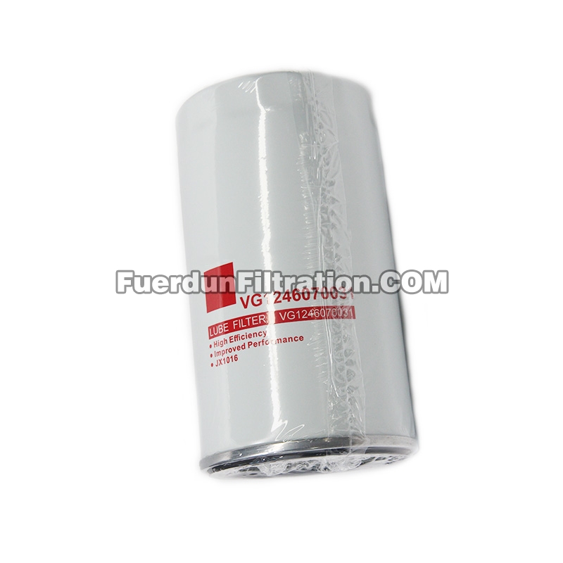 Oil Filter, Spin On VG1246070031