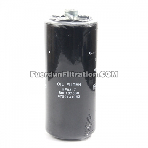 Oil Filter, Spin On 800107060