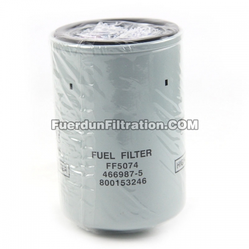 Fuel Filter, Spin On 800153246