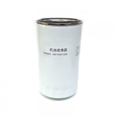 Oil Filter, Spin On 800159571Z00