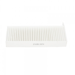 Cabin Filter 2181323