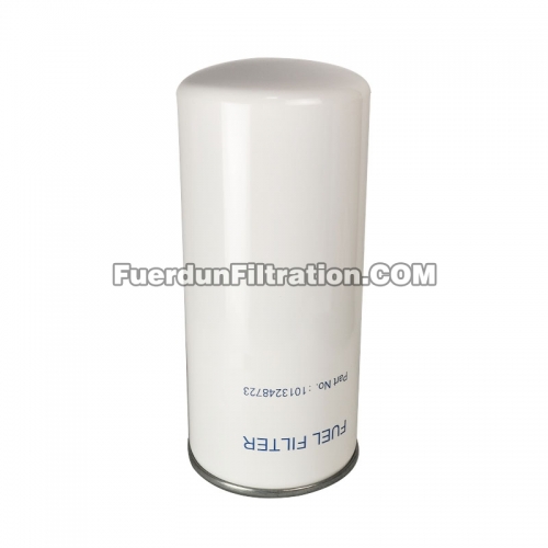 Fuel Filter, Spin On 1013248723