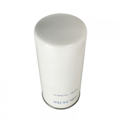 Fuel Filter, Spin On 1013248723