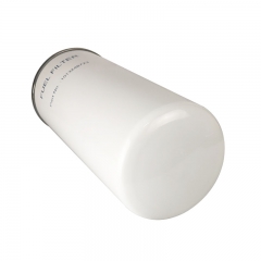 Fuel Filter, Spin On 1013248723