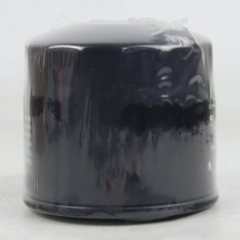 Oil Filter, Spin On 800144573