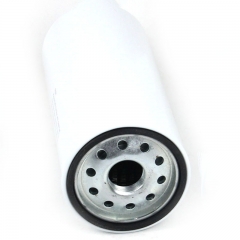 Fuel Filter, Spin On 800164118