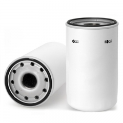 Oil Filter, Spin On 800164120