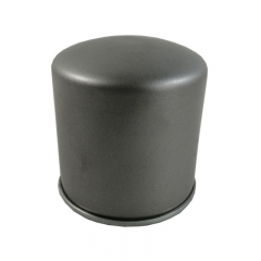 Oil Filter, Spin On 55175910