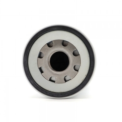 Fuel Filter, Spin On 20430751