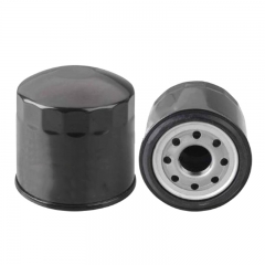 Oil Filter, Spin On 1012120-P301