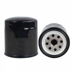 Oil Filter, Spin On 1010300FA060