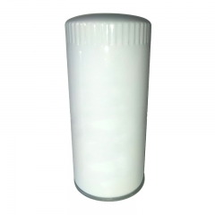 Fuel Filter, Spin On 1000496519