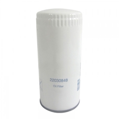 Oil Filter, Spin On 22030848
