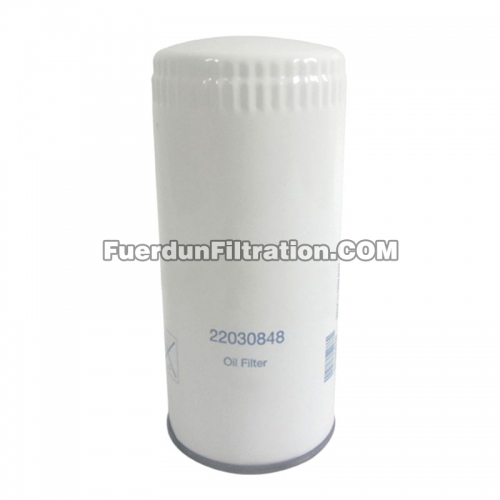Oil Filter, Spin On 22030848