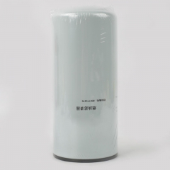 Fuel Filter, Spin On 800173479