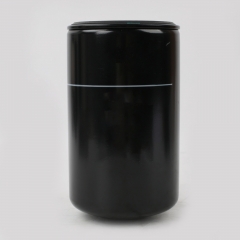 Fuel Filter, Spin On X59408300082