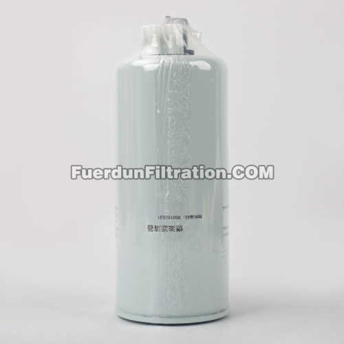 Fuel Filter, Spin On 800155531