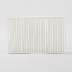 Filtre d'habitacle 60100002617