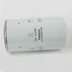Oil Filter, Spin On F96055