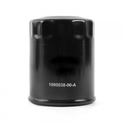 Oil Filter, Spin On 1095038-00-A