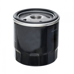 Oil Filter, Spin On 96879797