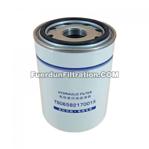 Hydraulic Filter, Spin On TS06582170015
