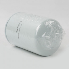 Water Filter 860118169