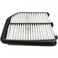 Cabin Filter PA4421