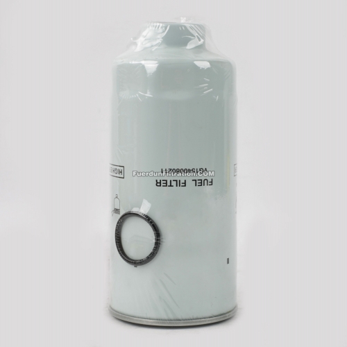 Fuel Filter, Spin On VG1540080211
