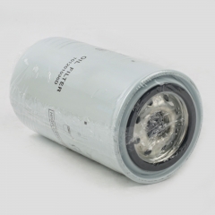 Oil Filter, Spin On 101201036D