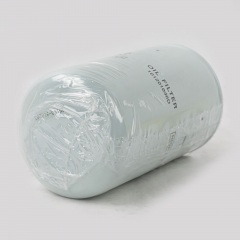 Oil Filter, Spin On 101201036D