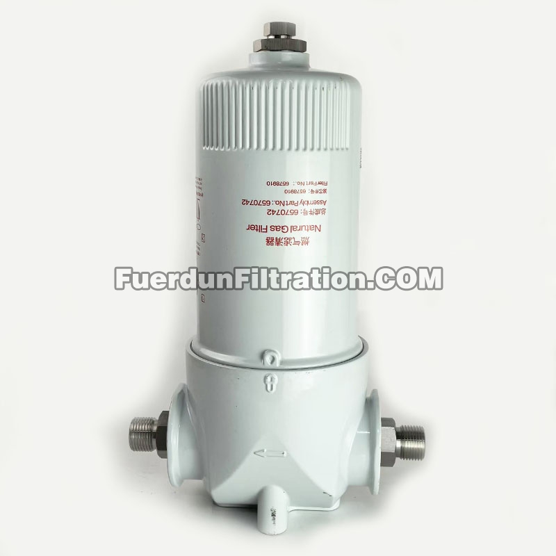 Gas Filter Assembly 6570742