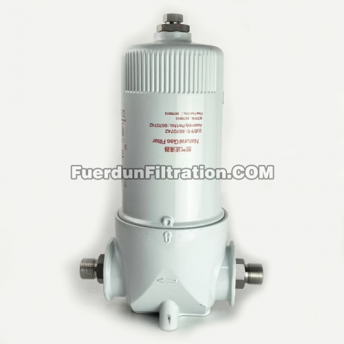 Gas Filter Assembly 6570742