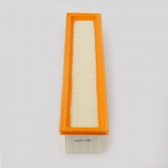 Cabin Filter 4284929M2