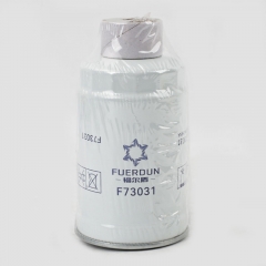 Fuel Filter, Spin On F73031