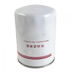 Oil Filter, Spin On S04-1012250-01