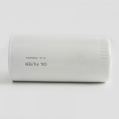 Filtre à huile à visser 1000826943