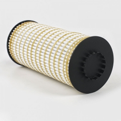 Oil Filter, Cartridge K09L-1012250-01