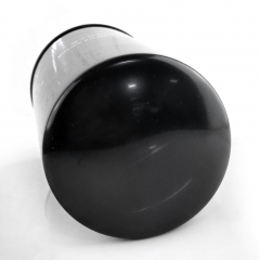 Fuel Filter, Spin On 5271994