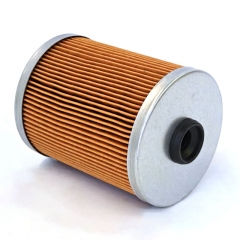 Fuel Filter, Cartridge 40C9921C