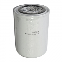 Coolant Filter 6313764X
