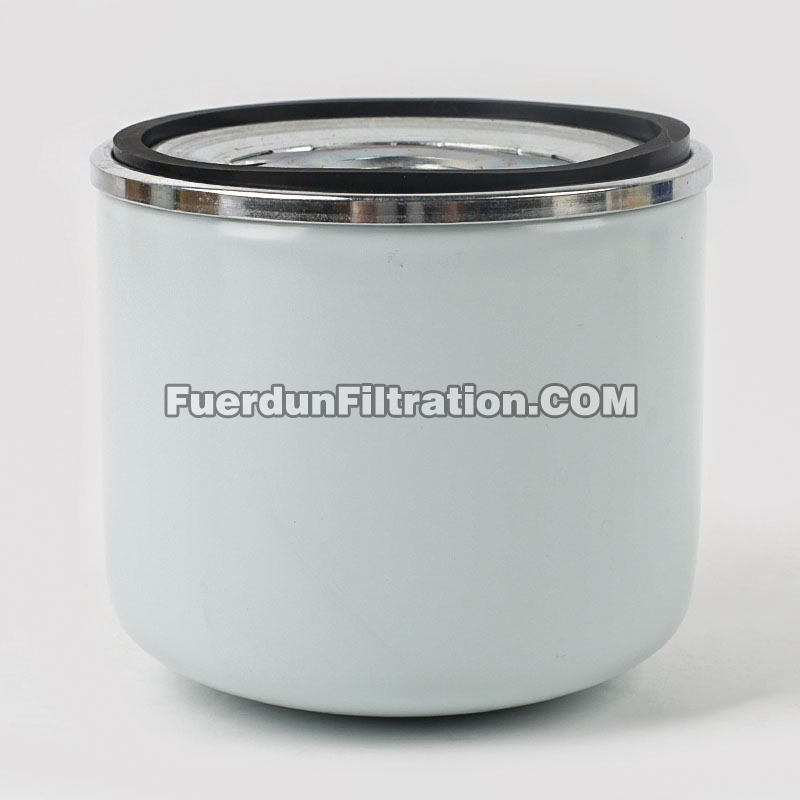 Fuel Filter, Spin On 1017201682