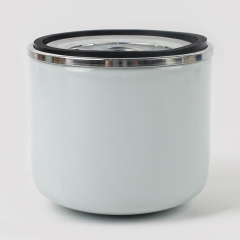 Fuel Filter, Spin On 1017201682